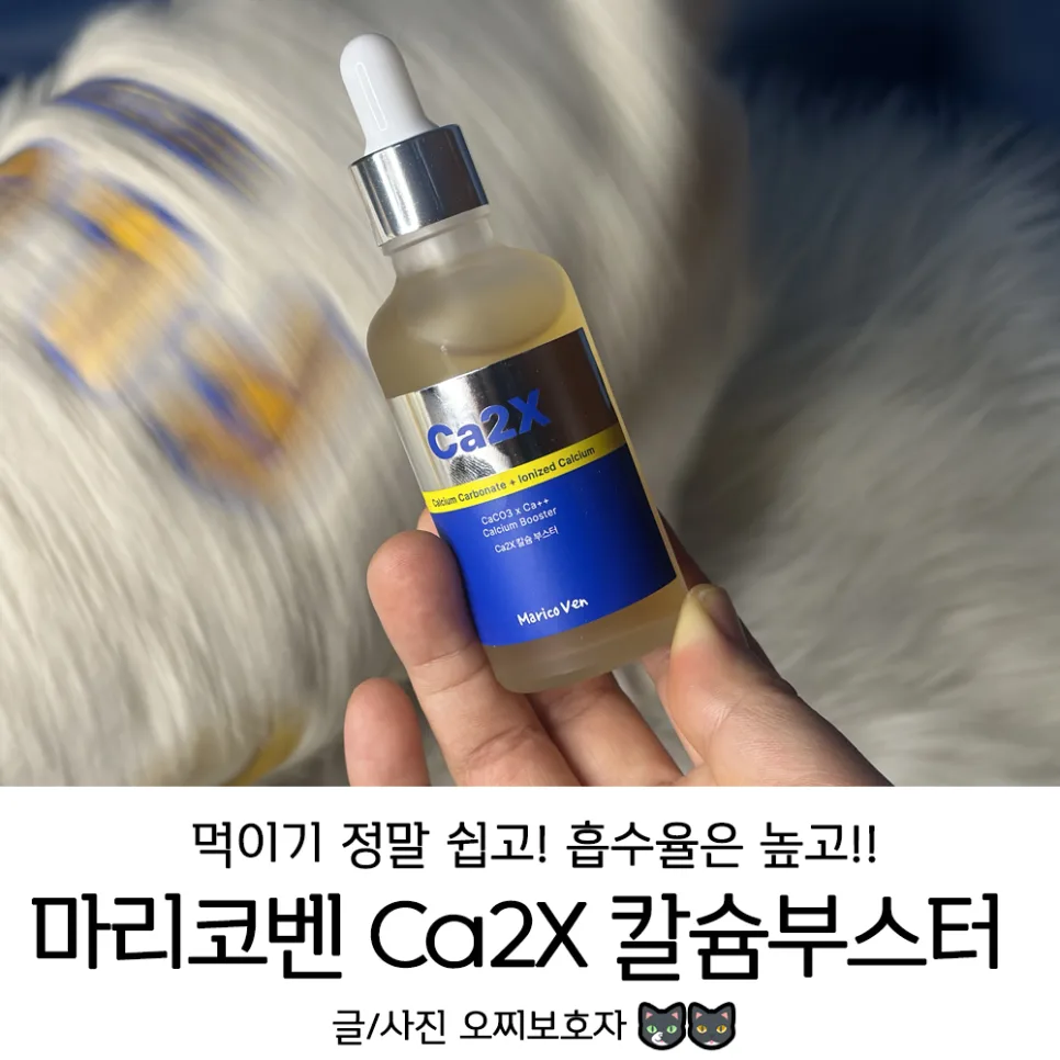반려동물 칼슘 영양제 2026: 마리코벤 Ca2X 효과와 급여법 총정리