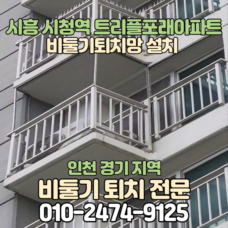 시흥 트리플포레 아파트 비둘기 퇴치, 2026년까지 안전하게! (현장 후기)