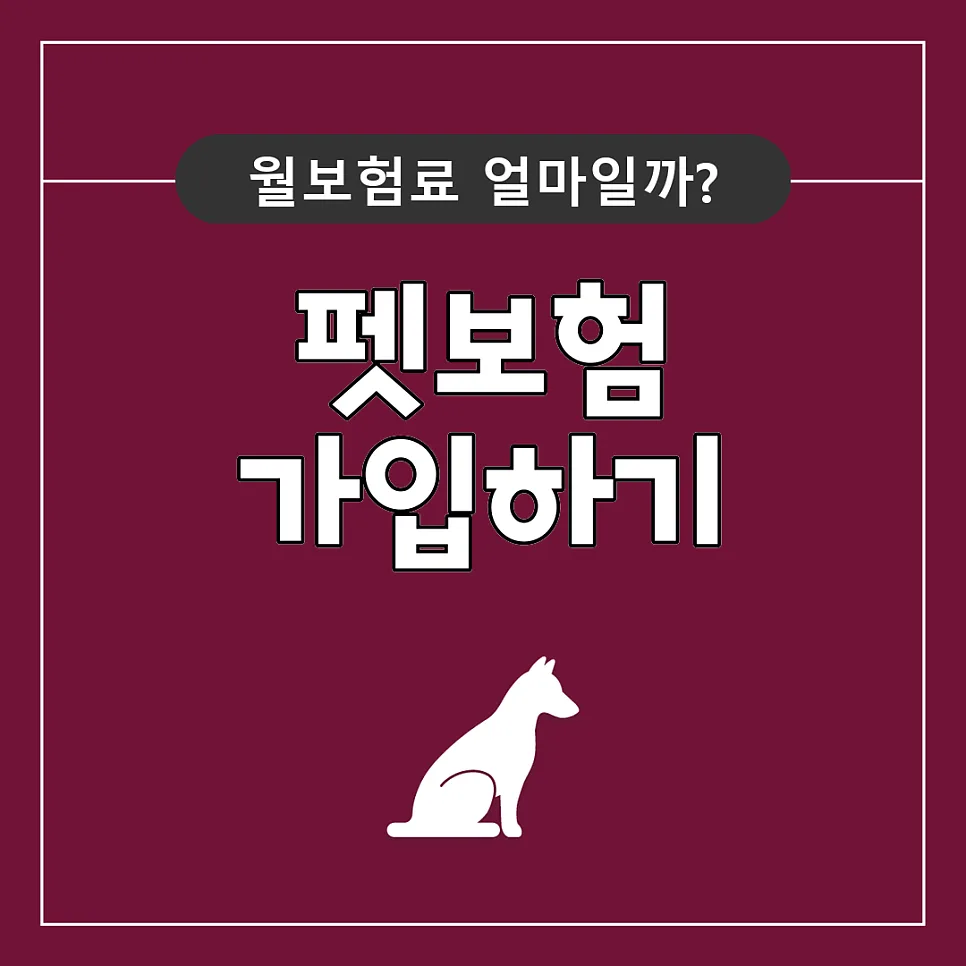 2026년 펫보험 비교: 강아지 vs 고양이 보험 차이점 완벽 정리