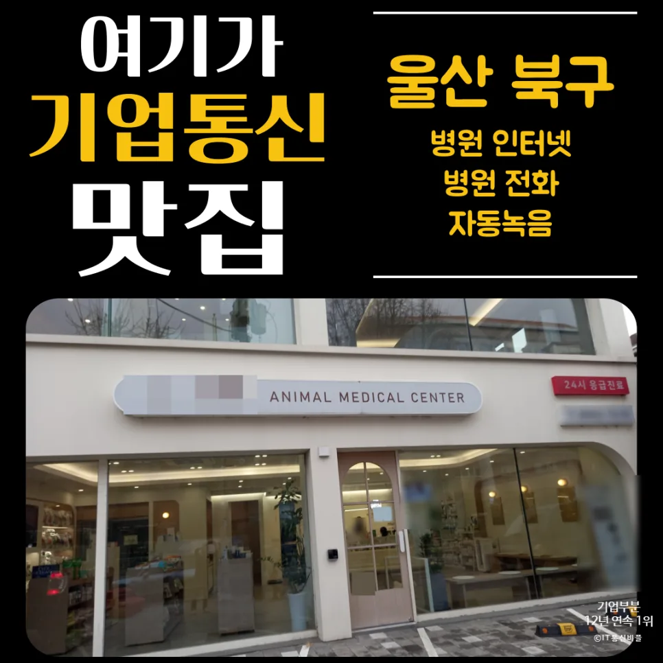 24시 동물병원 녹취 솔루션: 고객 응대 품질 높이는 법 2026