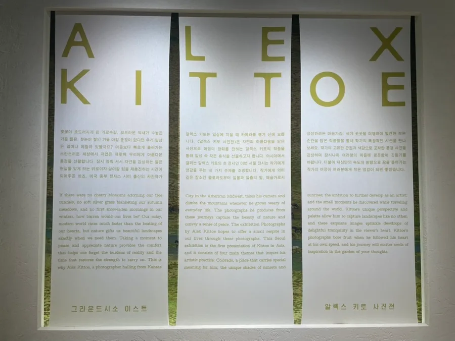알렉스 키토 사진전 2026: 자연 속 평안과 격정의 순간 포착