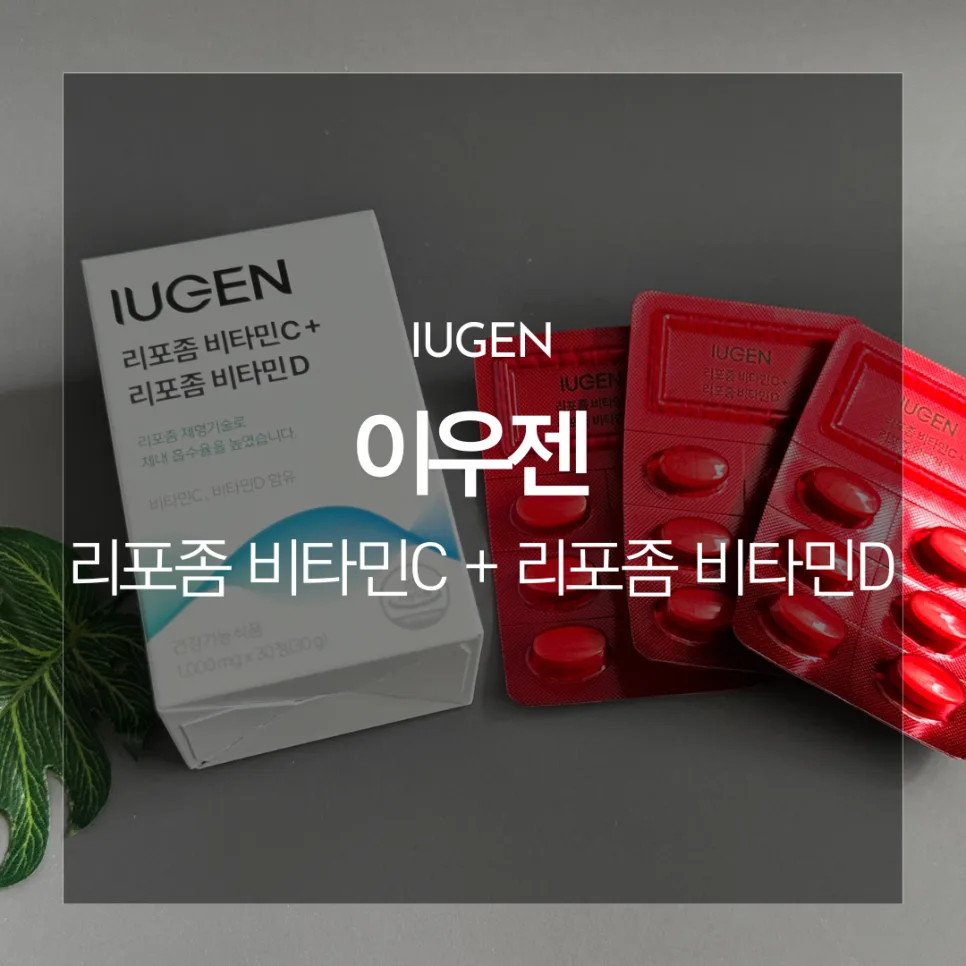 지놈앤컴퍼니 리포좀 비타민C+D 2026년 섭취 가이드