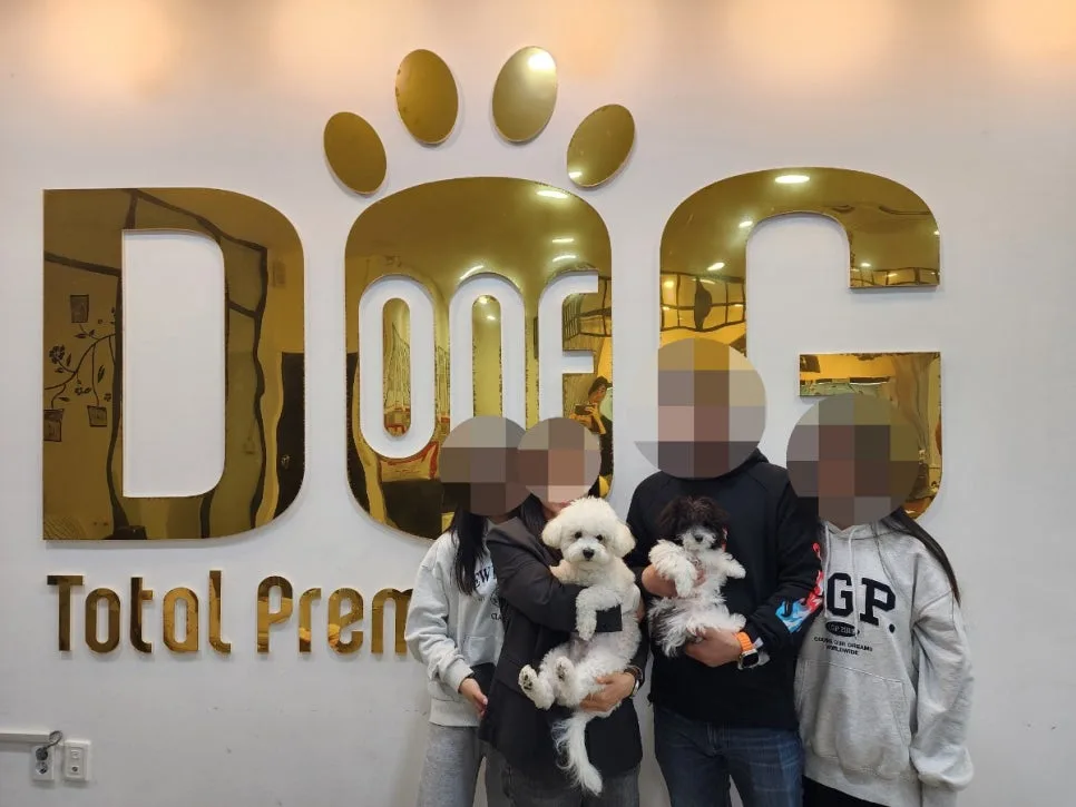 세종시 강아지 분양, 원독과 함께하는 행복한 동행 2026
