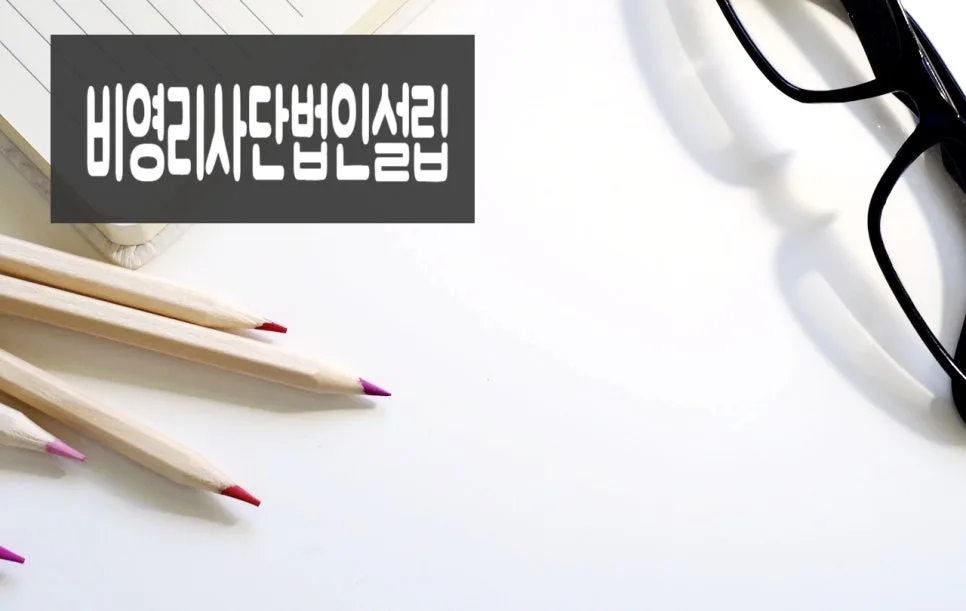 비영리사단법인 설립 요건 및 절차 완벽 분석 2026
