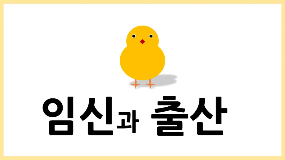 2025년 임신과 출산 성교육: 실제 경험 기반 핵심 정리