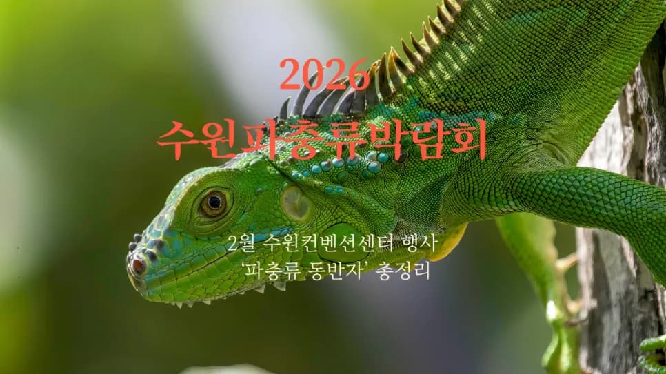 2026 수원 파충류 동반자: 행사 일정, 입장료, 볼거리 총정리
