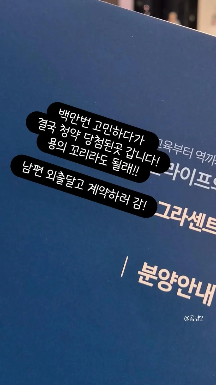 2026년 아파트 청약, 뱀의 머리 vs 용의 꼬리 선택 가이드