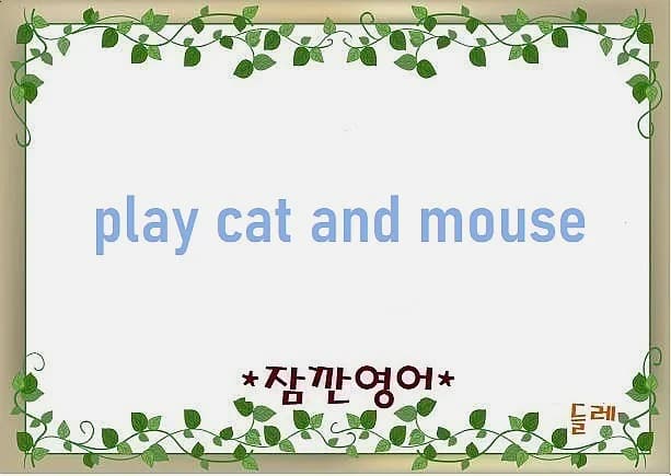 Play Cat and Mouse 유래와 뜻: 2026년 영어 숙어 활용법