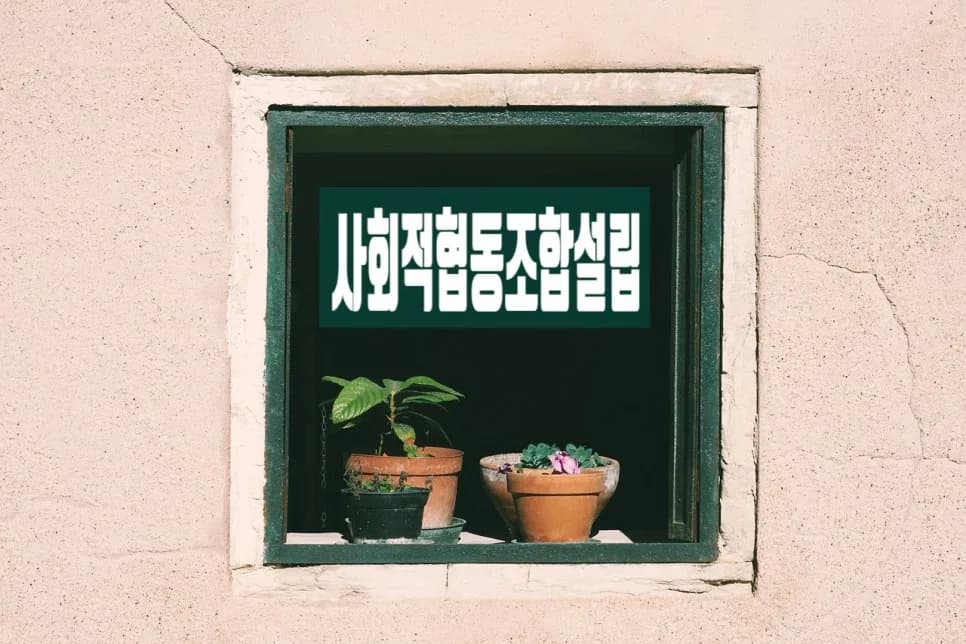 사회적협동조합 설립 조건 및 절차 2026년 총정리