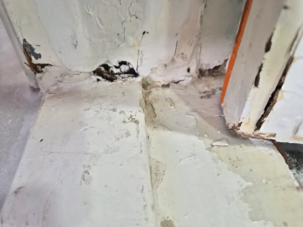 Korean Interior Doors 2026: Fix Mold & Rot