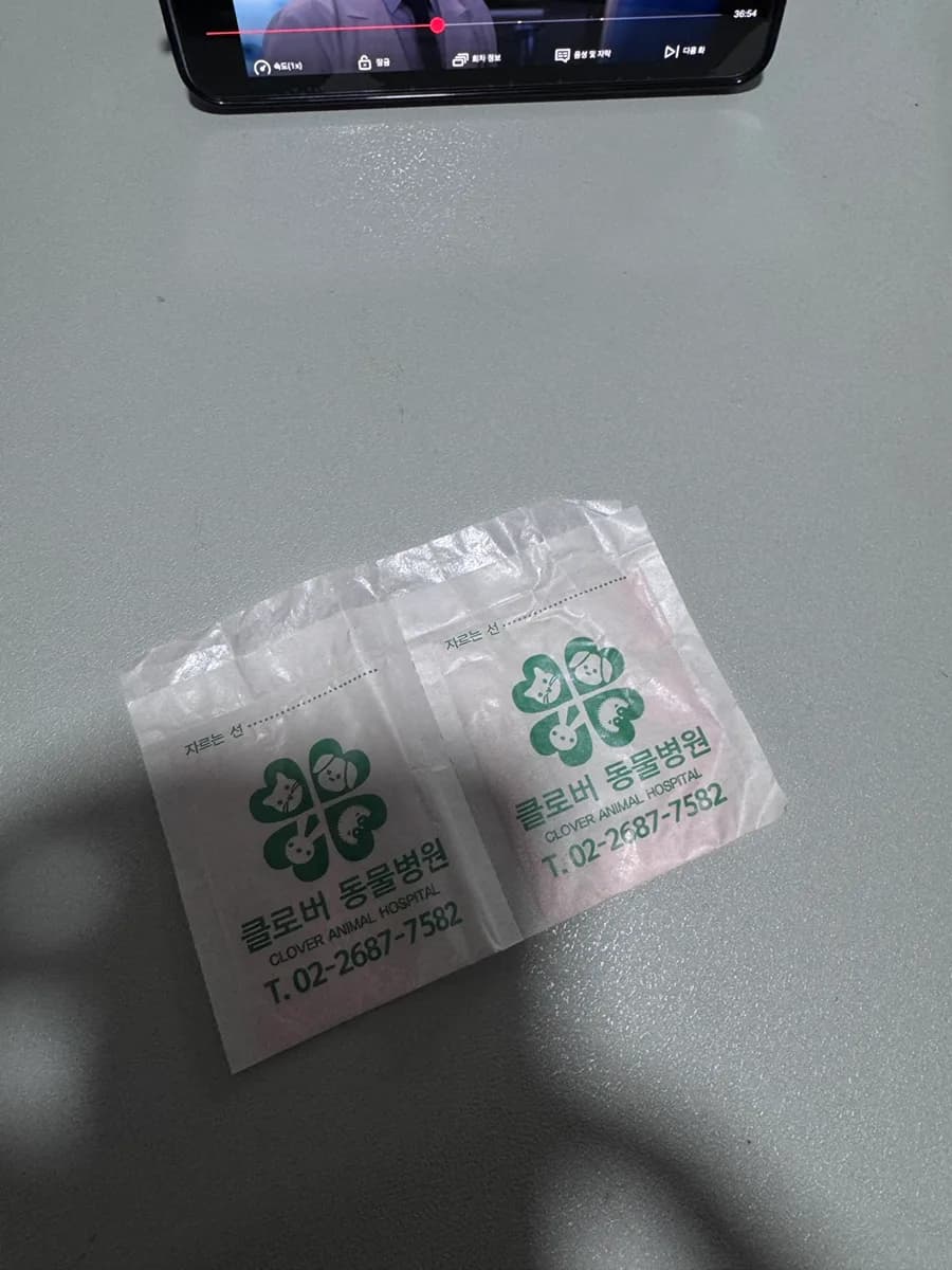 토끼 위장정체 증상과 대처법 2026: 하쿠병원 경험 기반