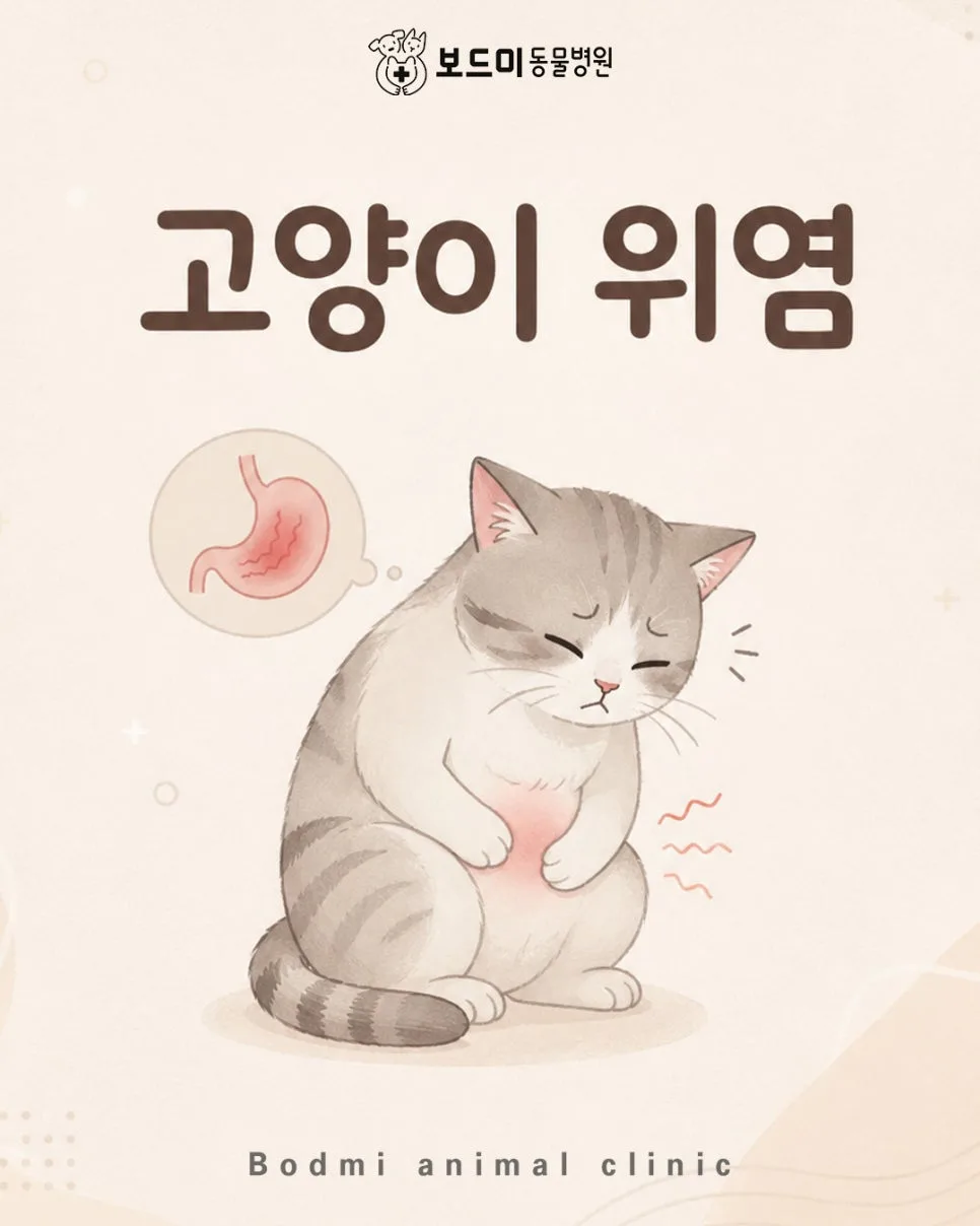 고양이 위염 증상과 치료법 2026: 집사가 꼭 알아야 할 모든 것