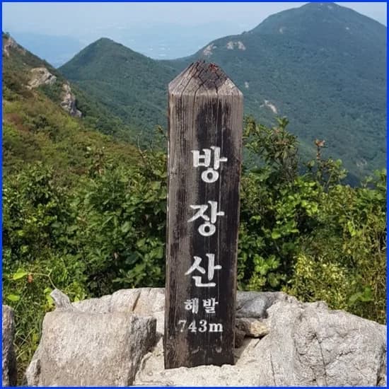 뇌혈관 병원 선택 가이드 2026: 경험자가 전하는 솔직 후기
