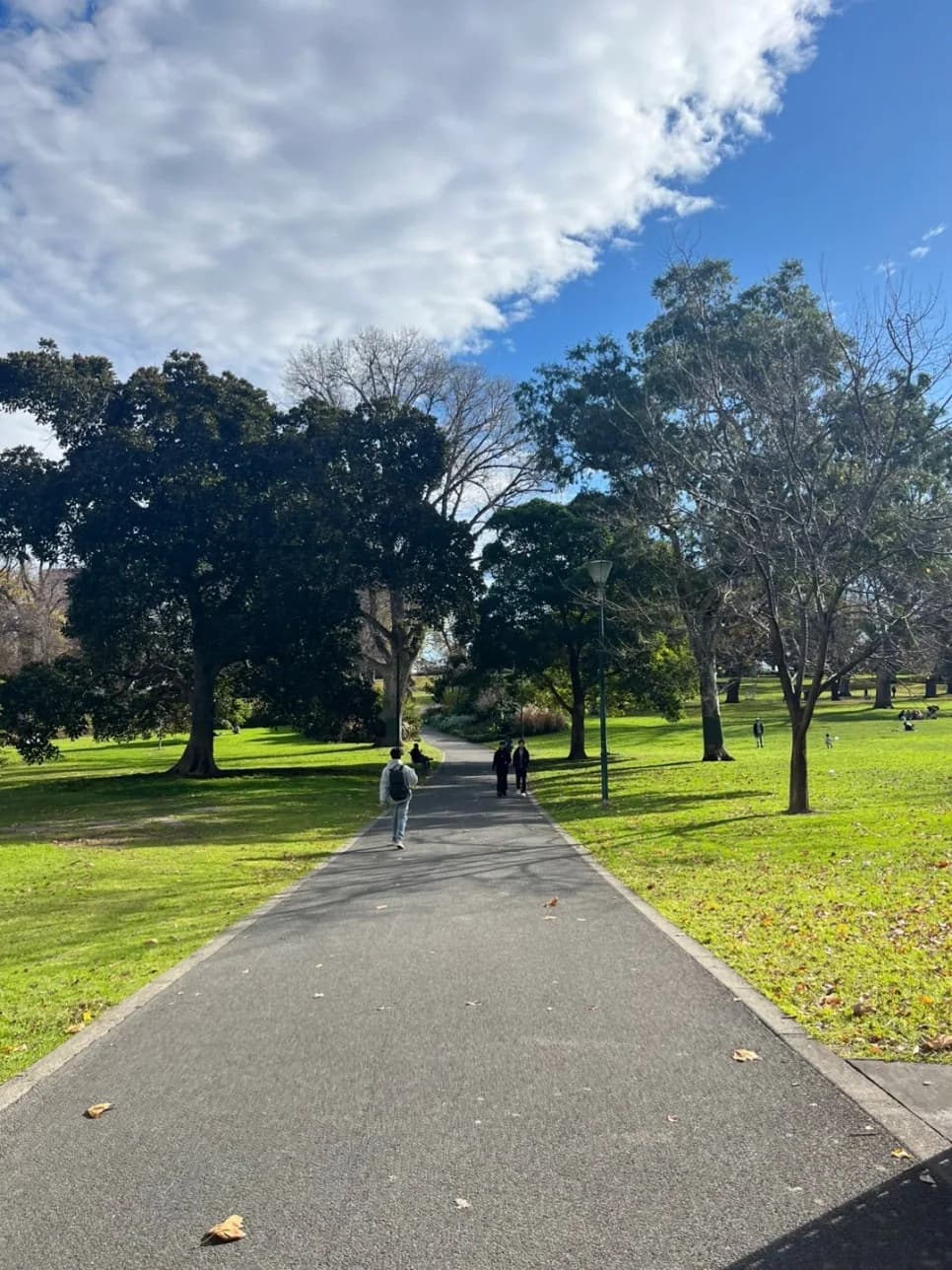 Learn Korean Fast: 4-Month Australia Study Abroad Review 2026