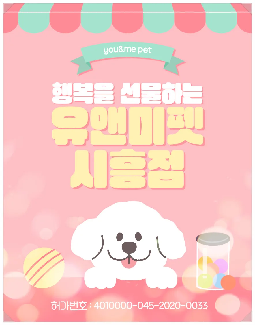 여주 말티푸 분양 2026: 유앤미펫 후기 및 건강한 반려견 선택법
