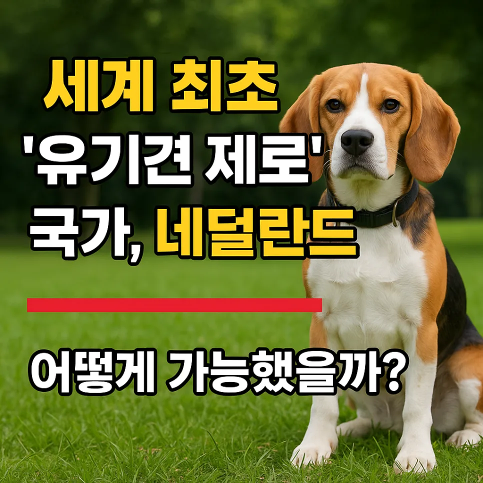 네덜란드 유기견 제로 비결 2026: CNVR 시스템과 입양 문화