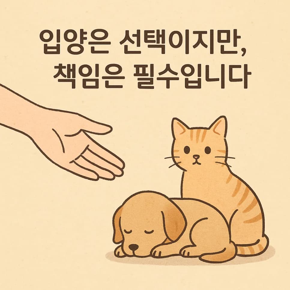반려동물 유기 3회 30대, 벌금 300만원 선고 2026년 사례 분석