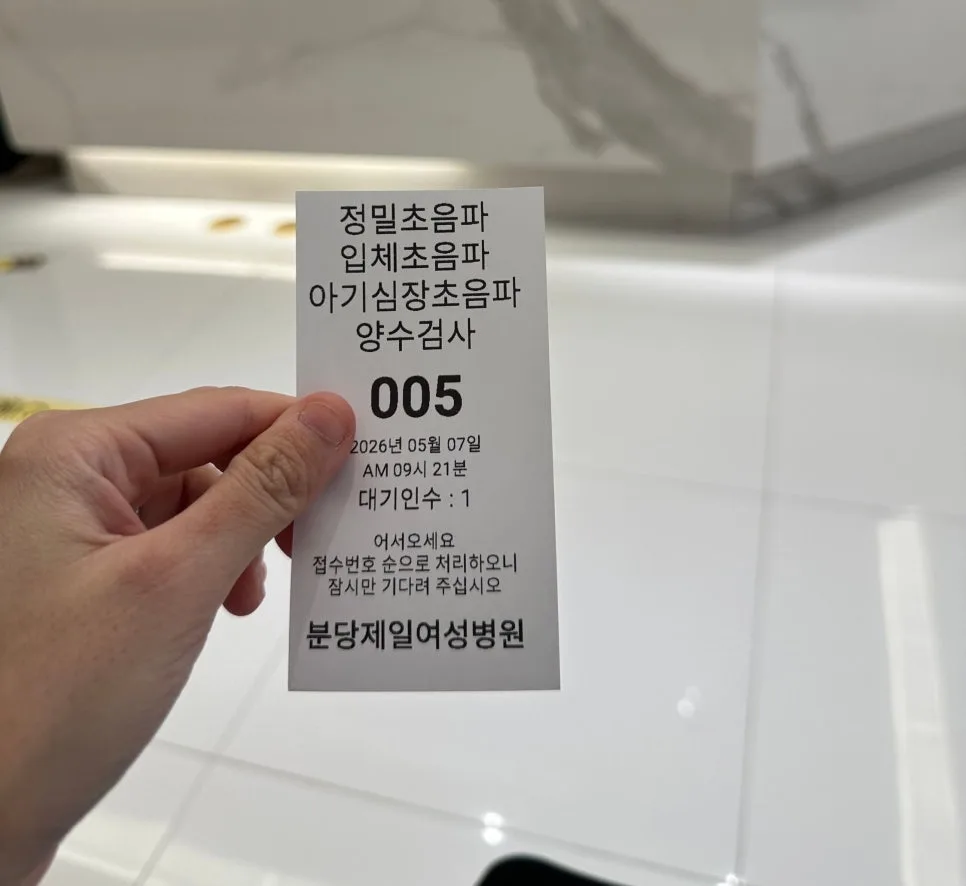 임신 22주 정밀초음파 후기: 태교여행 영향과 검진 결과 2026