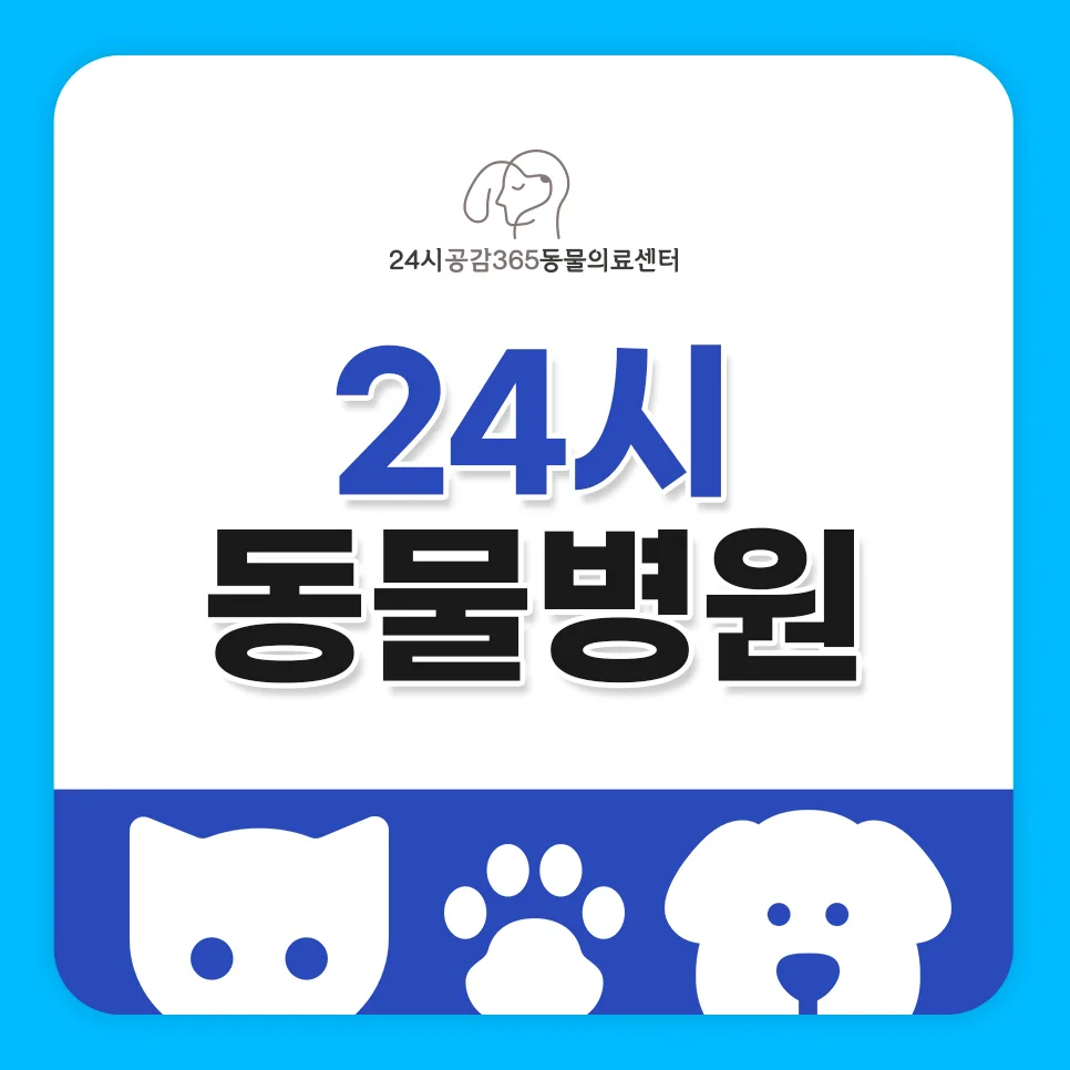 반려동물 저혈당 증상과 응급처치 2026년 총정리