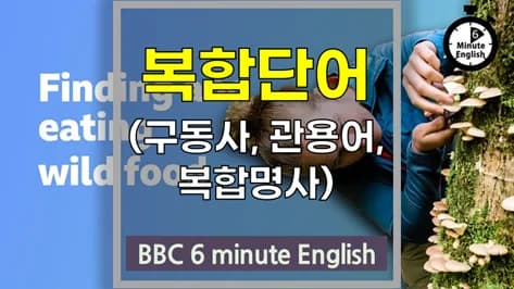 야생 식용 식물 채집 2026: 영어 숙어 및 구동사 완벽 정리