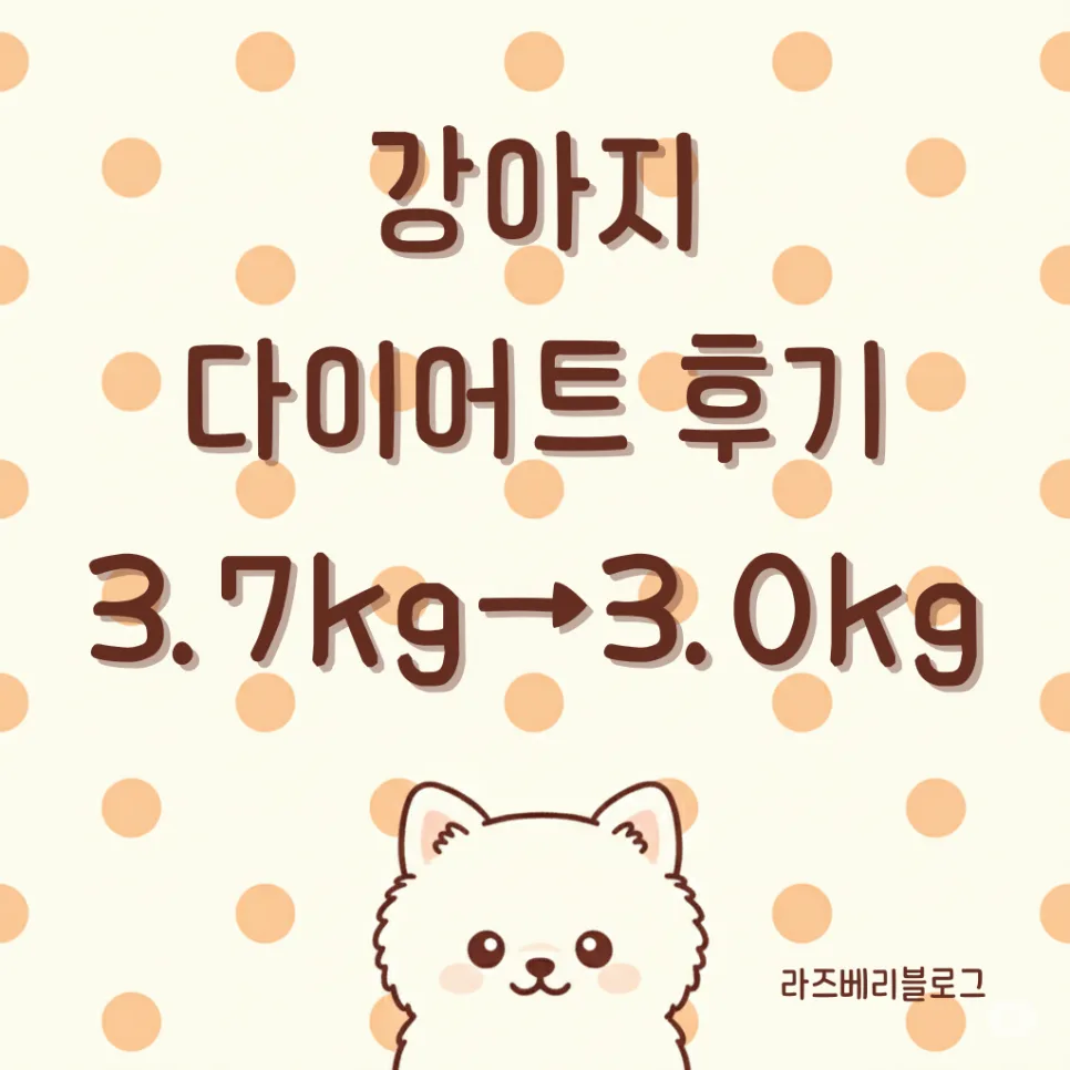 우리 강아지 체중 감량 성공 비결 2026: 식단·간식·활동량 조절법