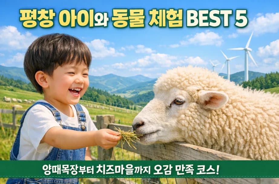 평창 동물 체험 코스 BEST 5: 아이와 교감하는 힐링 여행 2026