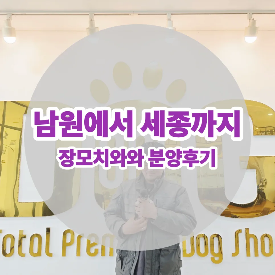 세종 장모치와와 분양 2026: 남원 고객의 감동 후기 분석