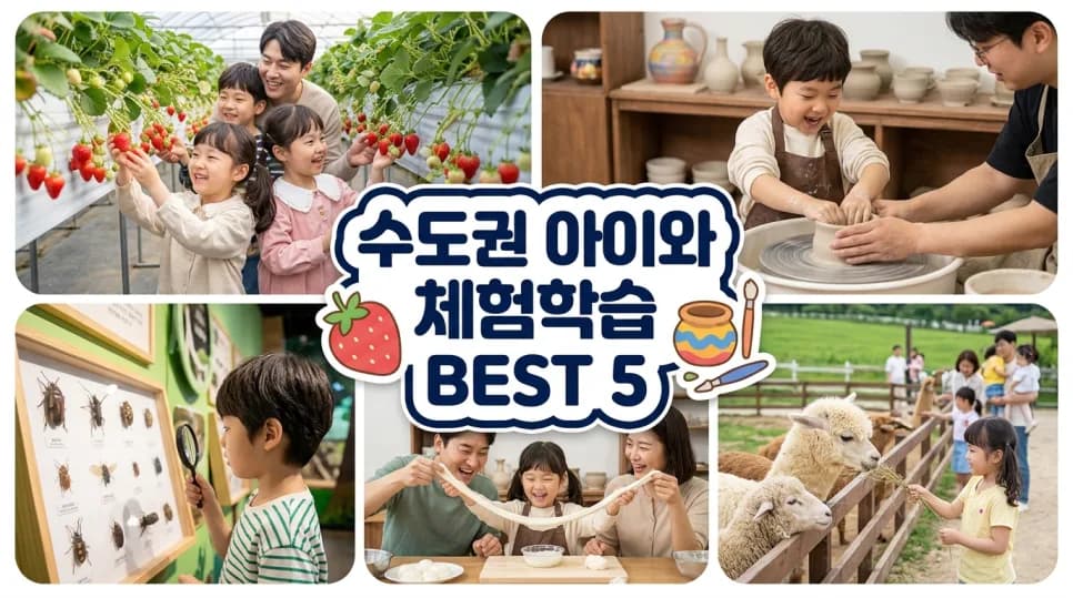 2026 수도권 아이와 가볼 만한 곳 BEST 5: 오감 만족 체험학습