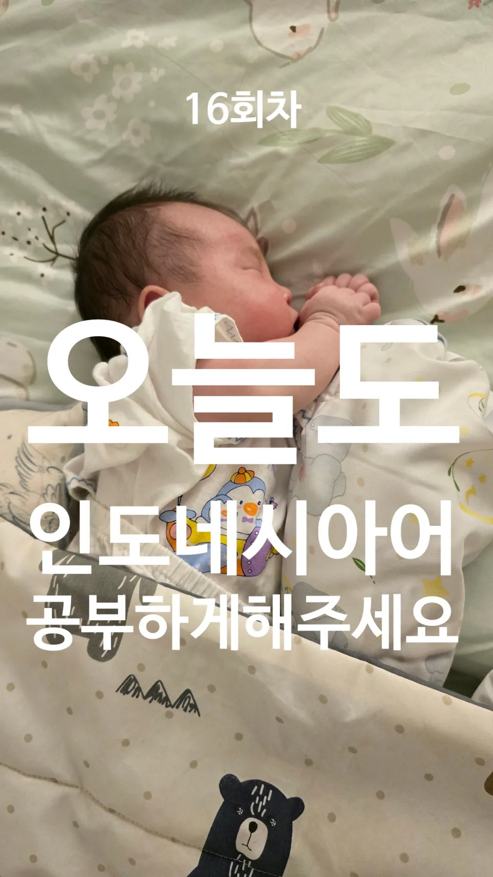 2026년 인도네시아어 필수 동사 5가지: 원어민처럼 말하는 법