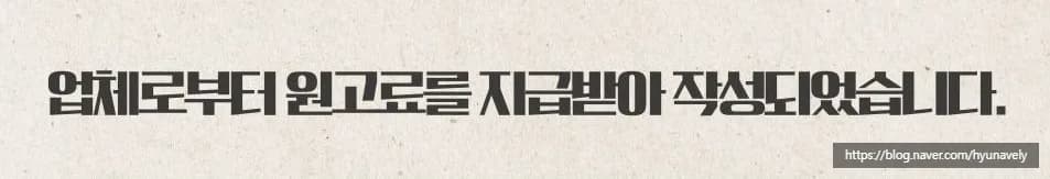 넥스트레벨 영어회화 2026: 부산 원어민 1:1 화상 경험 후기