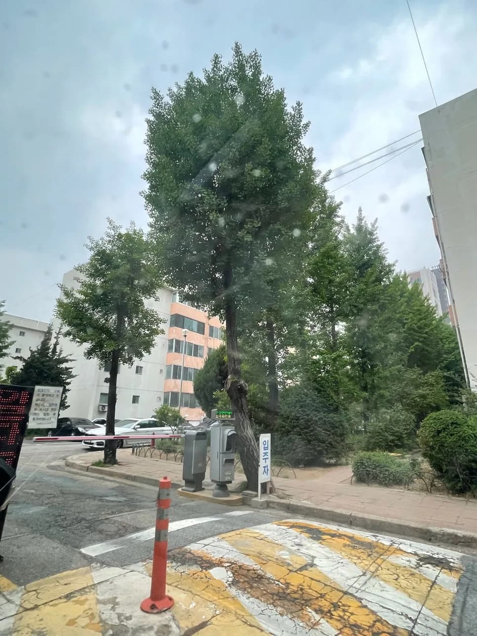 한강맨션, 증산5, 불광5 재개발 2026년 현황 및 전망
