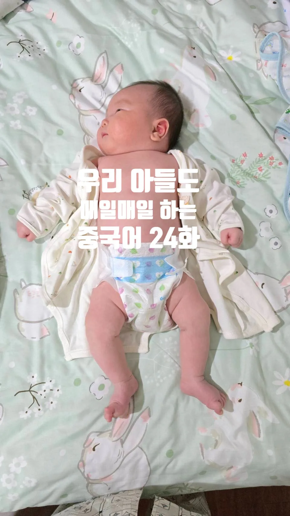 중국어 단어 5개 매일 외우기: 2026년 실전 회화 습관 만들기