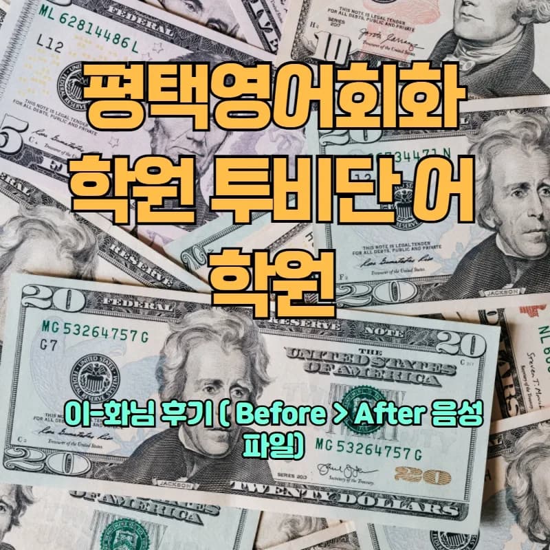 평택 영어회화 2026년, 투비단 어학원 수강생 변화 분석
