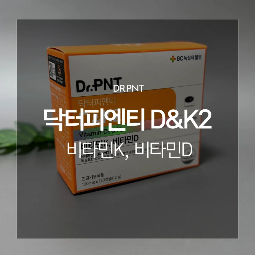 뼈 건강 필수템 D&K2: 고함량 비타민D 2026년 섭취 가이드