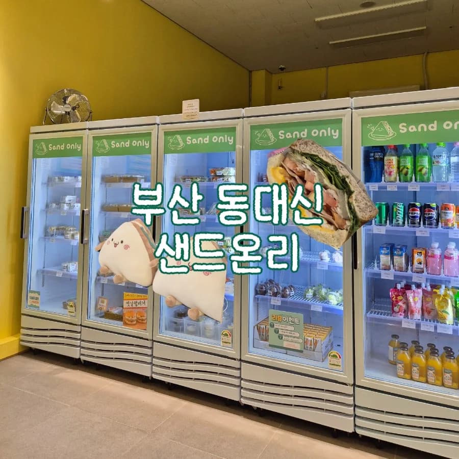 동아대병원 샐러드·샌드위치 맛집: 2026년 가성비 점심 추천