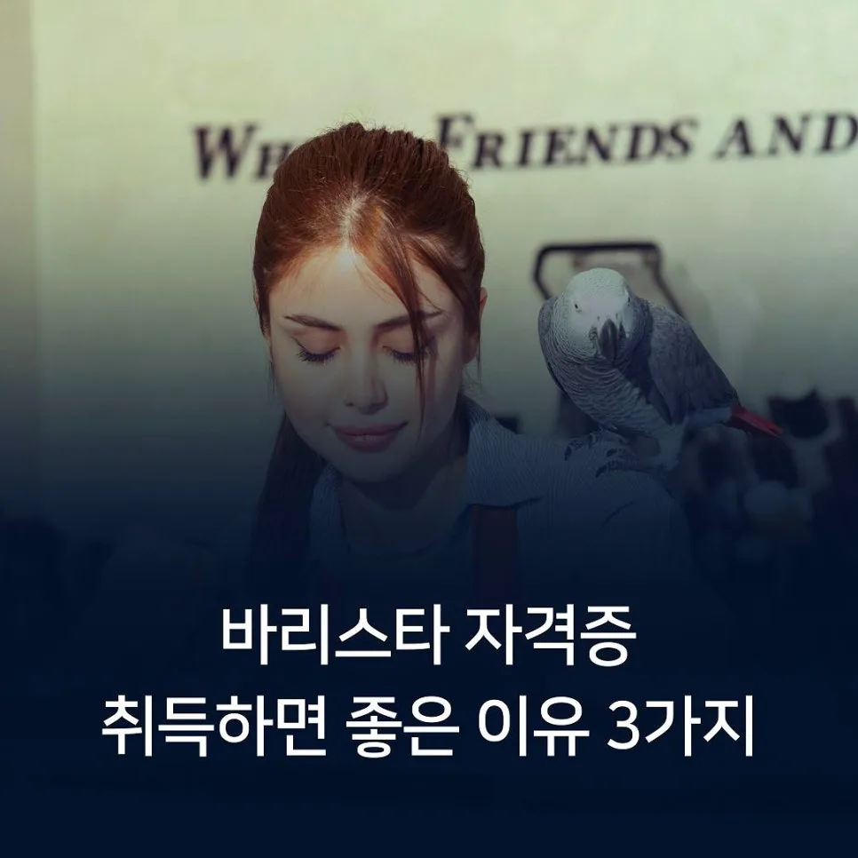 바리스타 자격증, 왜 필요할까? 취업·창업·취미 2026년 전망