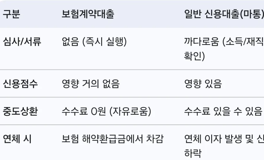 보험대출 금리 2026년 최신 현황과 세금 혜택 유지 팁