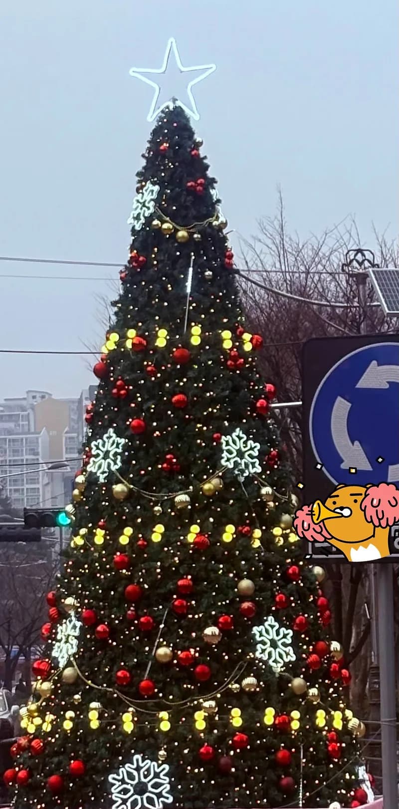 12월 투자 회고: 리스크 관리와 방향 설정 전략 2026
