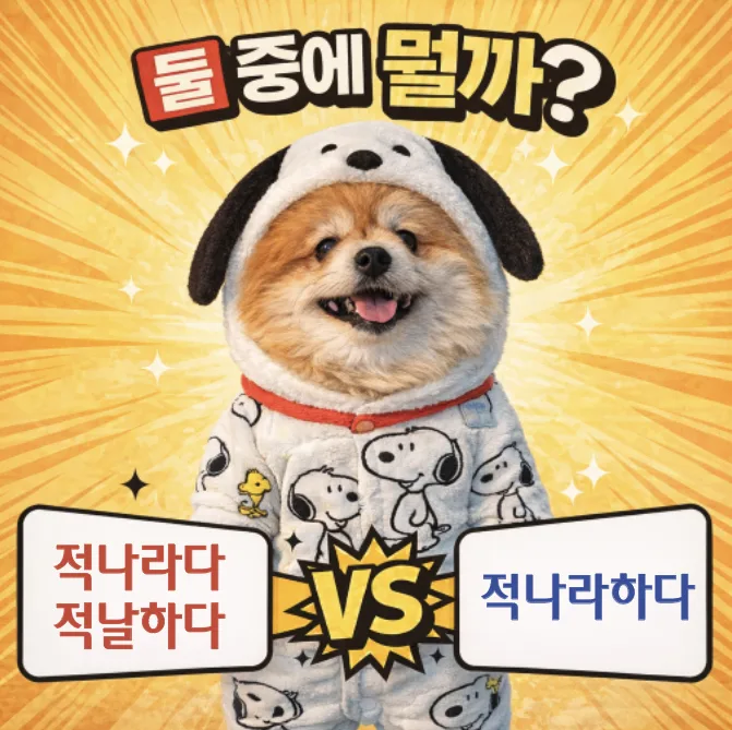 Korean Spelling: 'Jeoknaraha-ge' vs. 'Jeoknarage' 2026