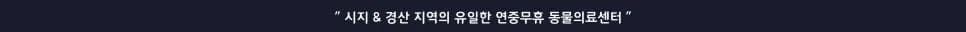 강아지 발작 원인 3가지와 탈수 교정 방법 2026