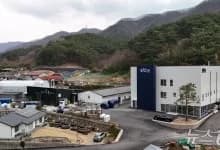 2026년 음식 트렌드: 맛집, 건강식, 이색 메뉴 총정리