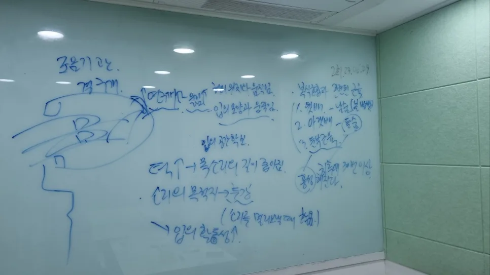 목소리 떨림 교정, 복식호흡 발성 발음 2026년 마스터 가이드
