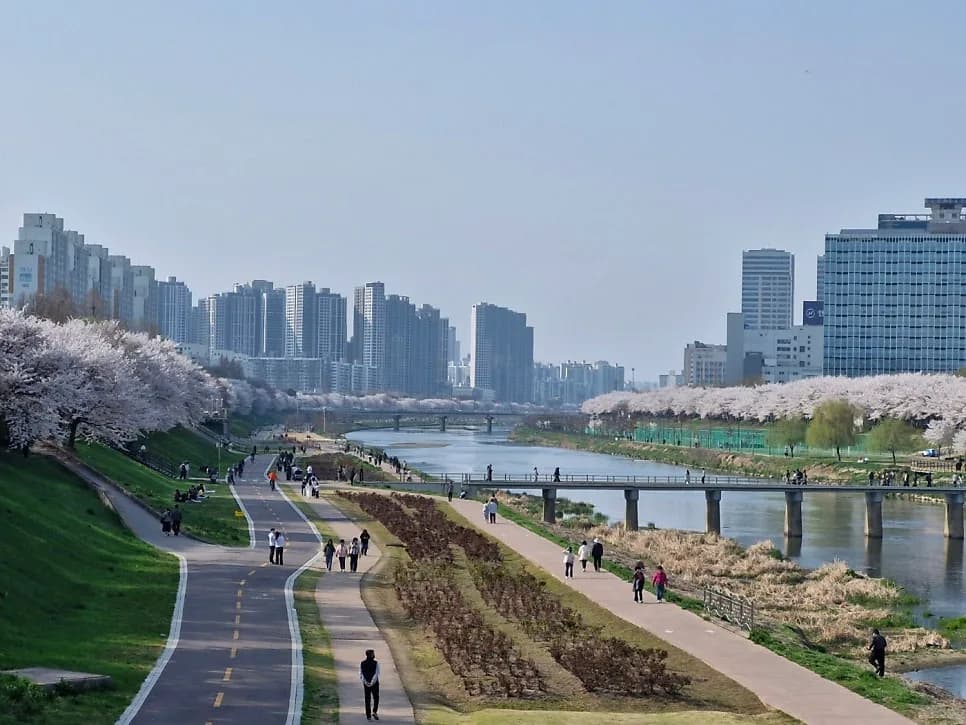 밤 문화 활발한 나라 7곳 비교 분석 (2026년 최신 정보)
