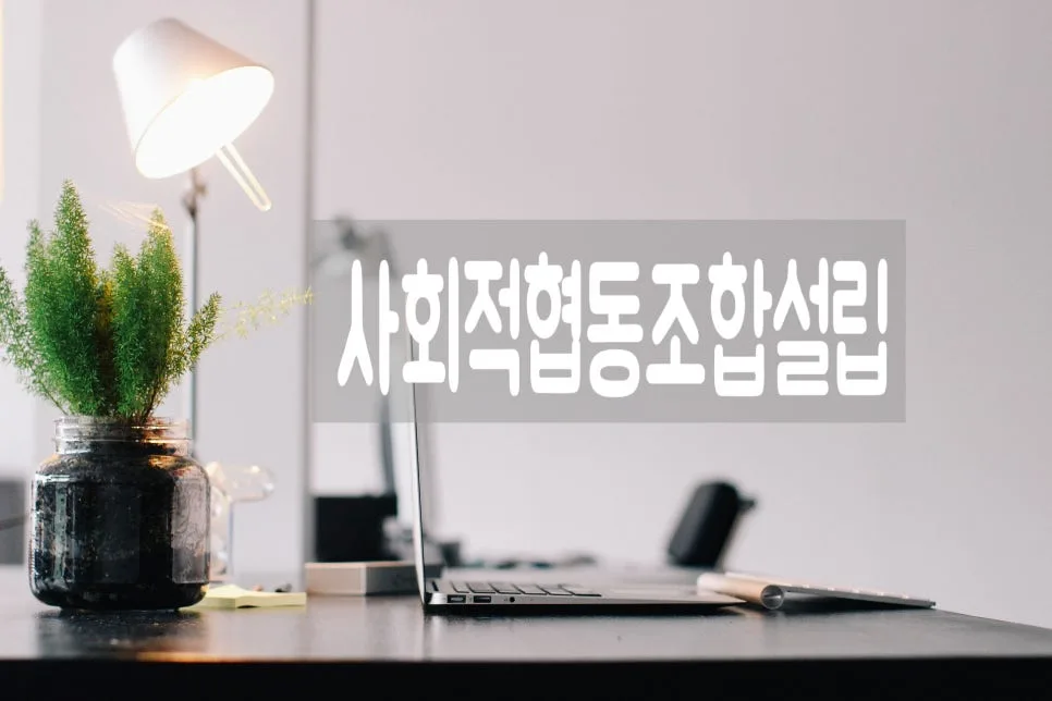 사회적협동조합 설립 절차 및 사업 구성 2026년 완벽 가이드