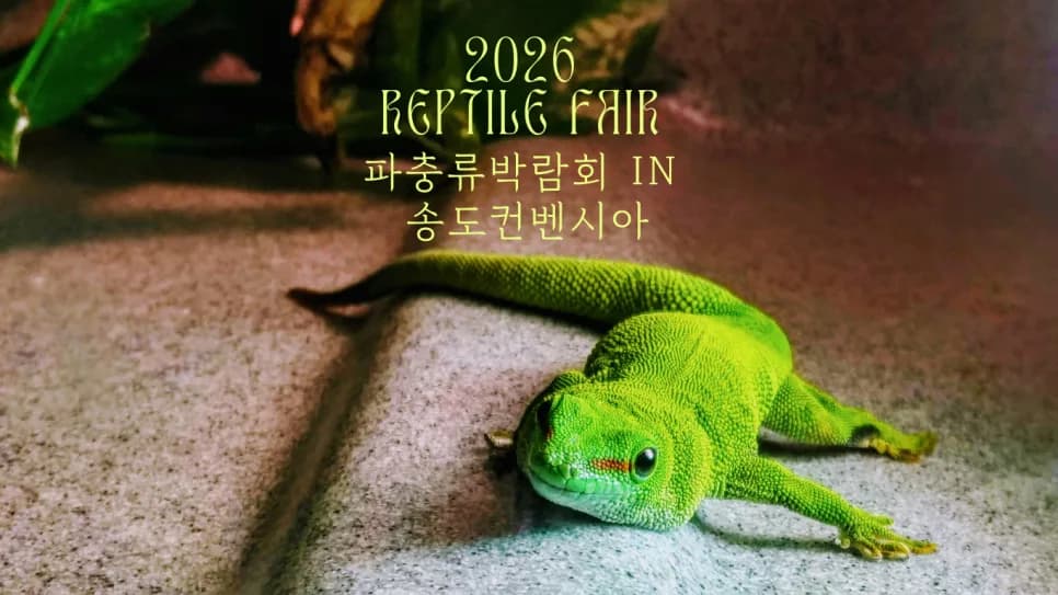2026 송도 K렙타일페어: 파충류 박람회 일정, 입장권, 즐길 거리 완벽 가이드