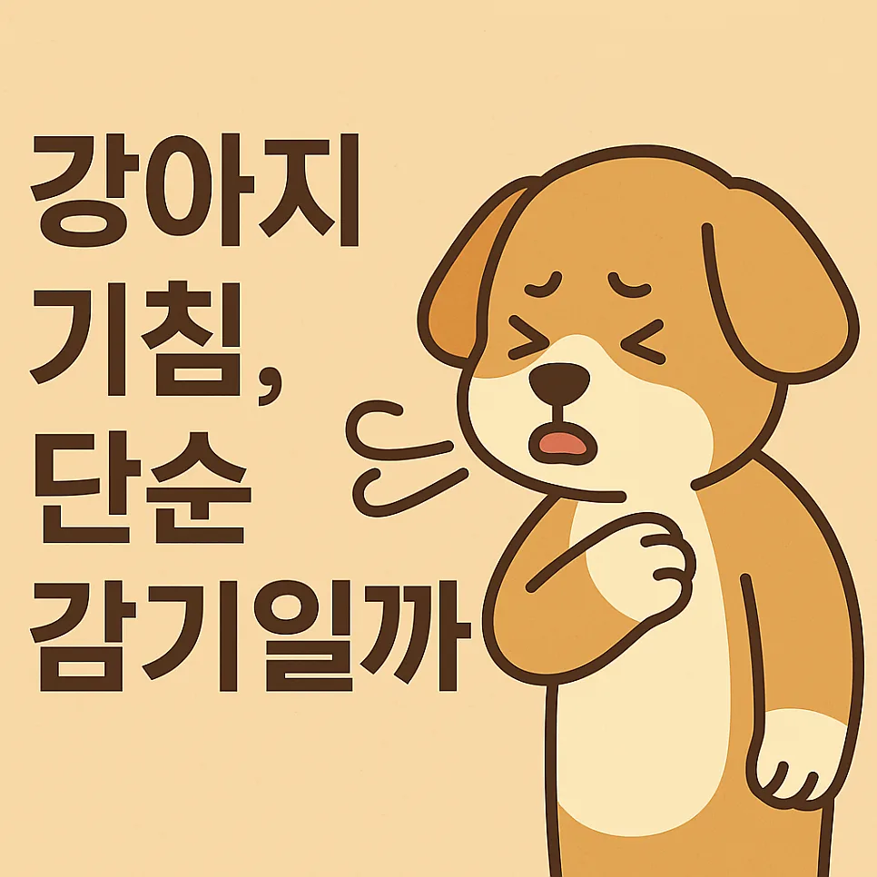 2026년 강아지 기침 원인별 구분법: 감기, 기관지염, 켄넬코프 증상 비교