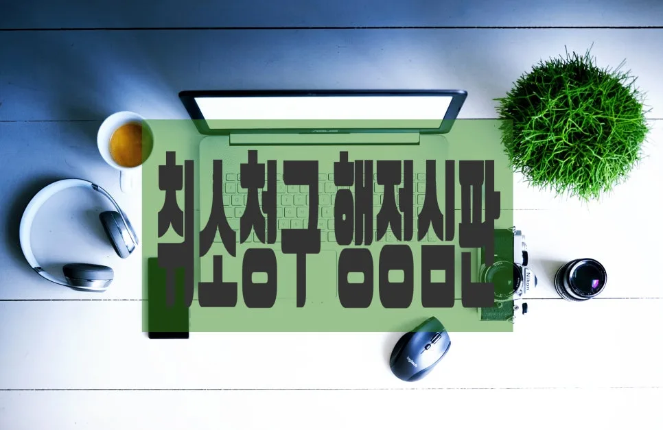 외국인 고용제한 처분 취소 가능할까? 2026년 행정사 분석