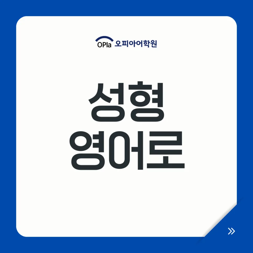 Korean Plastic Surgery Terms 2026: Master Procedures & Nuances