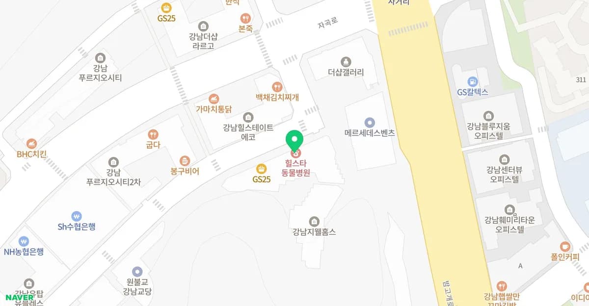 강아지 예방접종 필수 코스 2026: 자곡동 동물병원 비용, 주의사항 총정리