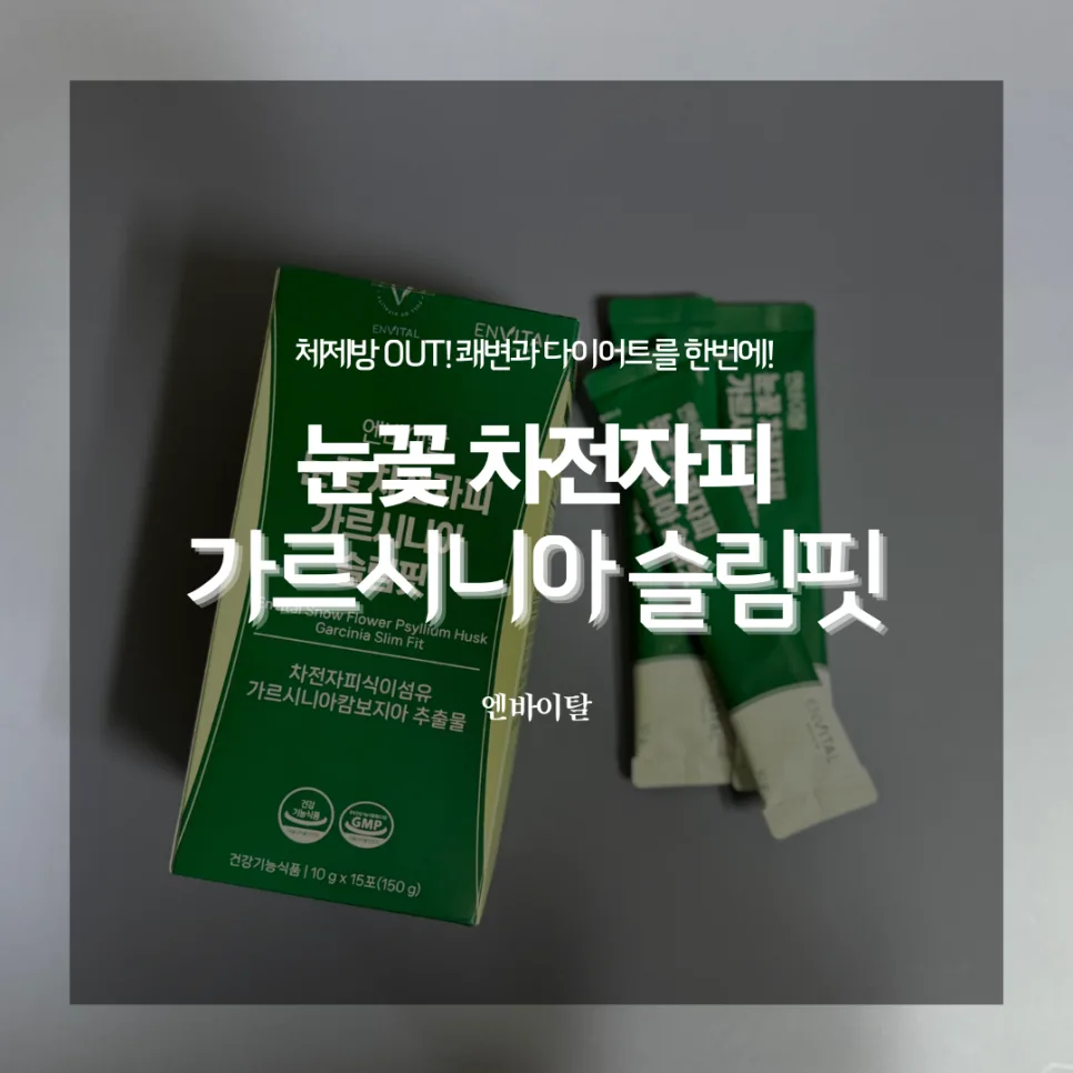 차전자피 식이섬유 다이어트 2026: 쾌변+체지방 감소 효과 비교